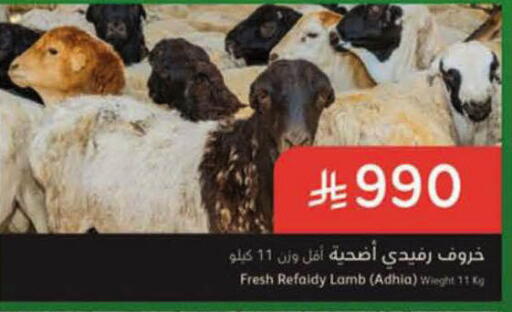 available at هايبر بنده in مملكة العربية السعودية, السعودية, سعودية - الرس