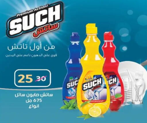 available at Wekalet Elmansoura - Dakahlia  in Egypt - Cairo