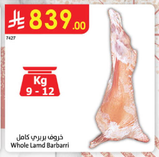 available at الدانوب in مملكة العربية السعودية, السعودية, سعودية - عنيزة