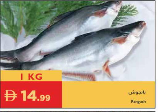 available at إسطنبول سوبرماركت in الإمارات العربية المتحدة , الامارات - أبو ظبي