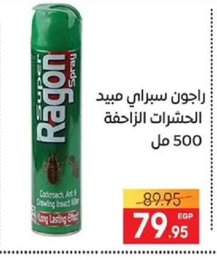 available at Safeer market in Egypt - Cairo