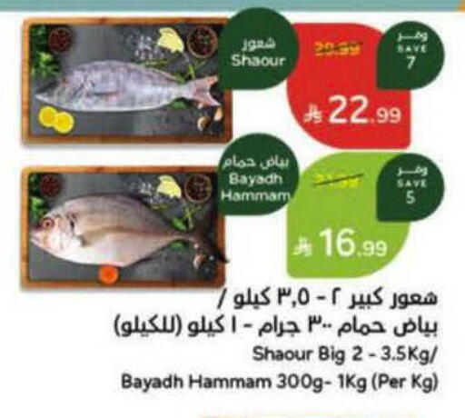 available at Hyper Panda in KSA, Saudi Arabia, Saudi - Dammam