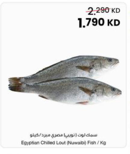 available at مركز سلطان in الكويت - مدينة الكويت