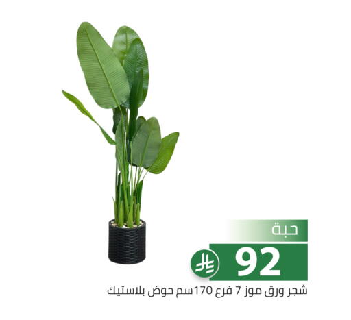 available at تخفيضات العائلة in مملكة العربية السعودية, السعودية, سعودية - الرياض