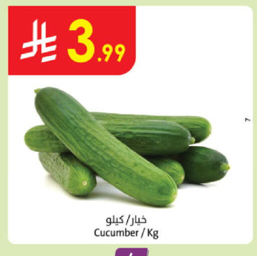 Cucumber available at الدانوب in مملكة العربية السعودية, السعودية, سعودية - المدينة المنورة