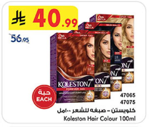 available at بن داود in مملكة العربية السعودية, السعودية, سعودية - المدينة المنورة
