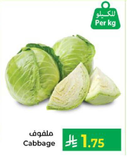 Cabbage available at كبايان هايبرماركت in مملكة العربية السعودية, السعودية, سعودية - ينبع