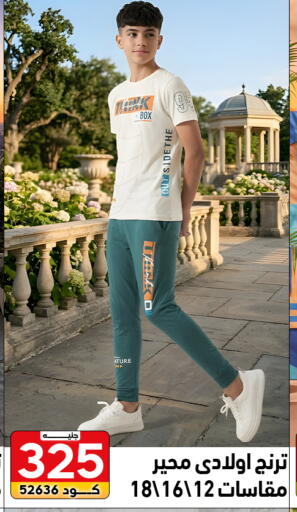 available at Center Elzelzal in Egypt - Cairo