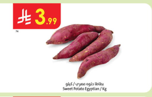 Sweet Potato from Egypt available at الدانوب in مملكة العربية السعودية, السعودية, سعودية - عنيزة