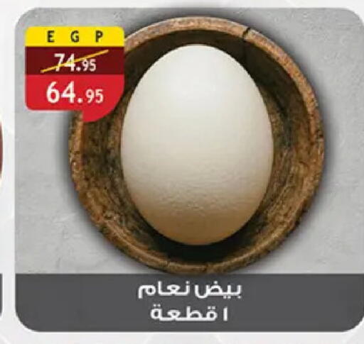 available at الرايه  ماركت in Egypt - القاهرة