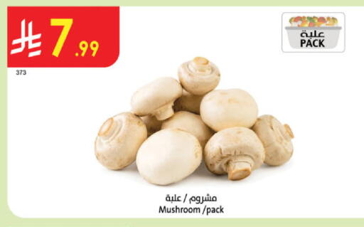 Mushroom available at الدانوب in مملكة العربية السعودية, السعودية, سعودية - عنيزة