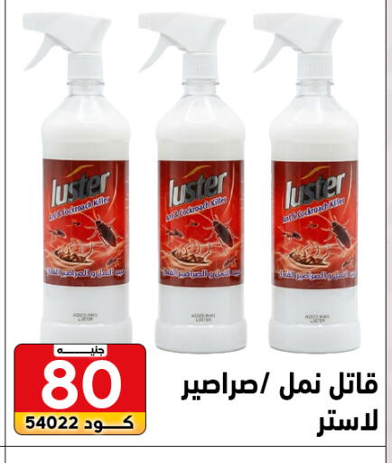 available at Center Elzelzal in Egypt - Cairo