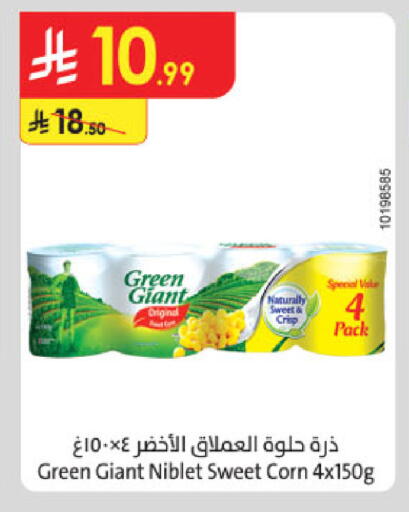available at الدانوب in مملكة العربية السعودية, السعودية, سعودية - المدينة المنورة