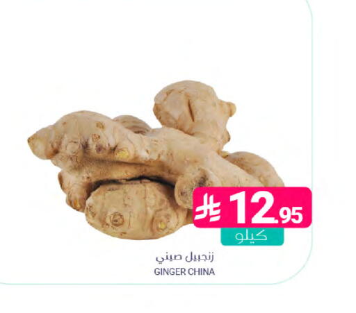 Ginger from China available at اسواق المنتزه in مملكة العربية السعودية, السعودية, سعودية - سيهات