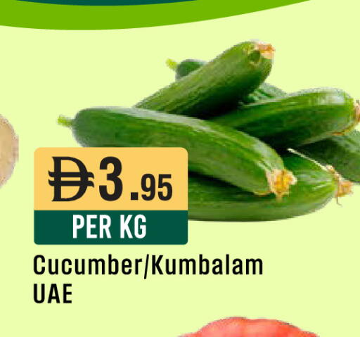 Cucumber available at ويست زون سوبرماركت in الإمارات العربية المتحدة , الامارات - أبو ظبي