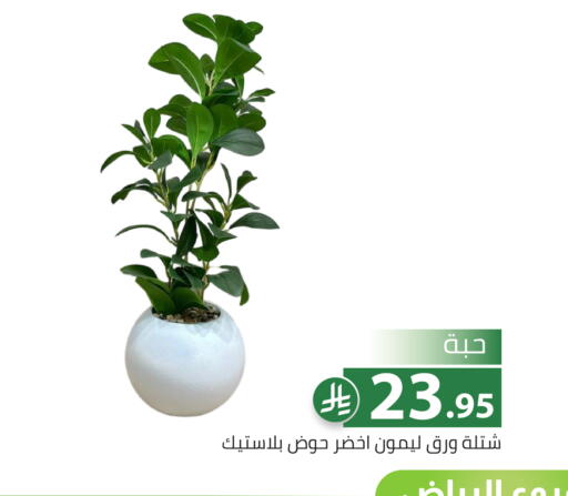 available at تخفيضات العائلة in مملكة العربية السعودية, السعودية, سعودية - الرياض