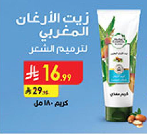 available at بن داود in مملكة العربية السعودية, السعودية, سعودية - المدينة المنورة