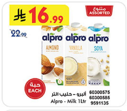 Vanilla available at بن داود in مملكة العربية السعودية, السعودية, سعودية - المدينة المنورة