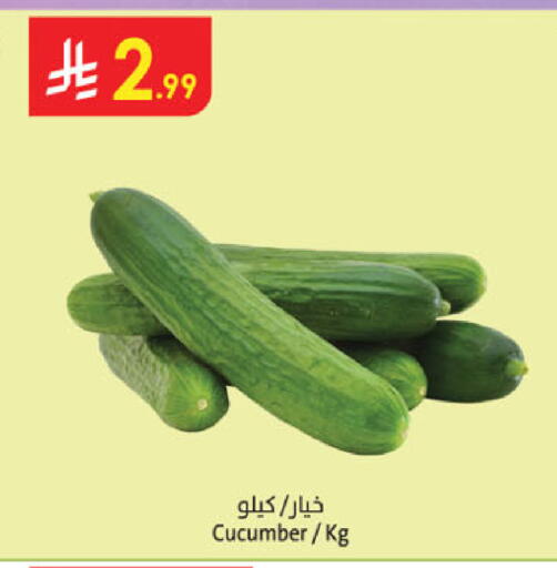 Cucumber available at الدانوب in مملكة العربية السعودية, السعودية, سعودية - عنيزة