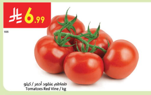 Tomato available at الدانوب in مملكة العربية السعودية, السعودية, سعودية - المنطقة الشرقية