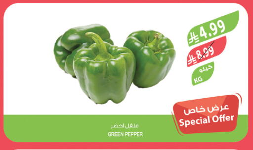 Pepper available at Farm  in KSA, Saudi Arabia, Saudi - Al Khobar
