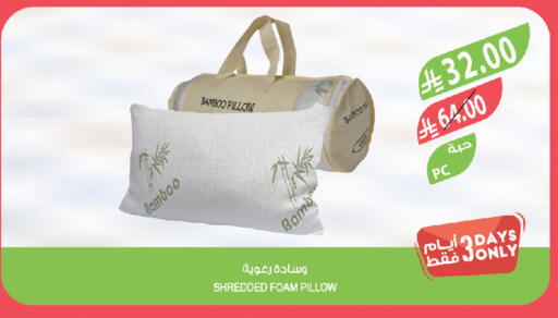available at المزرعة in مملكة العربية السعودية, السعودية, سعودية - تبوك