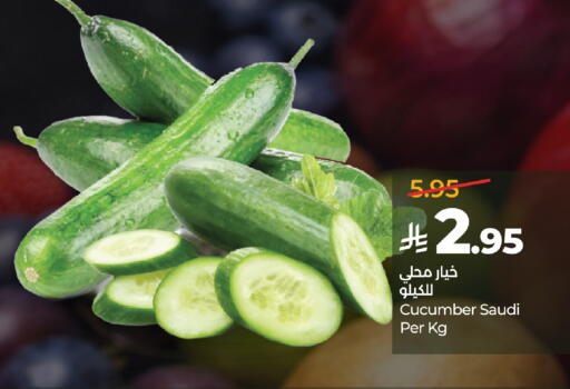 Cucumber from Saudi Arabia available at لولو هايبرماركت in مملكة العربية السعودية, السعودية, سعودية - الطائف