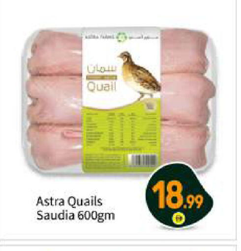 available at بيج مارت in الإمارات العربية المتحدة , الامارات - أبو ظبي