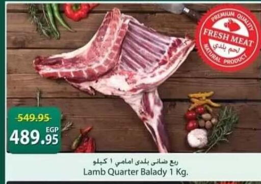 available at سبينس in Egypt - القاهرة