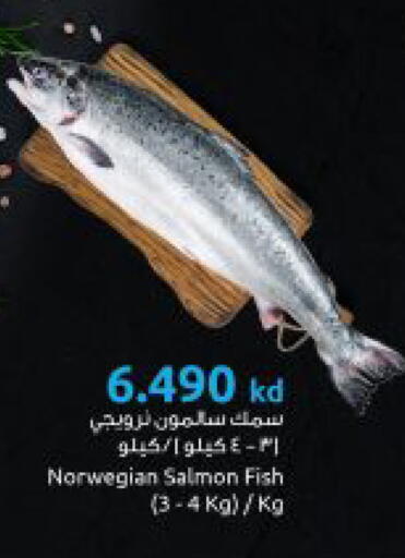 available at مركز سلطان in الكويت - مدينة الكويت