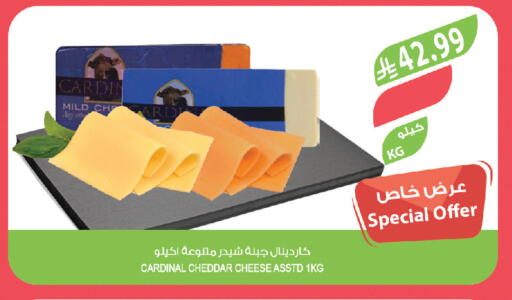 available at المزرعة in مملكة العربية السعودية, السعودية, سعودية - تبوك