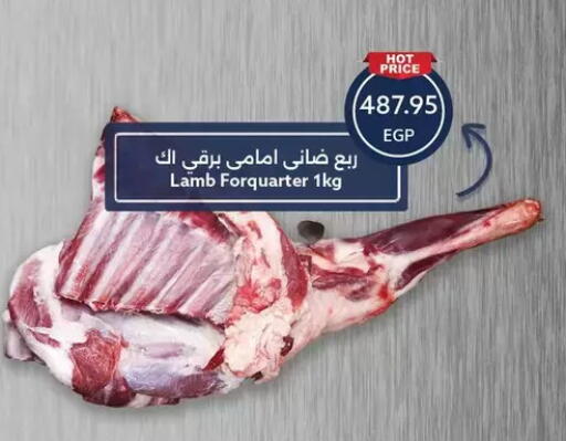 available at Oscar Grand Stores  in Egypt - Cairo