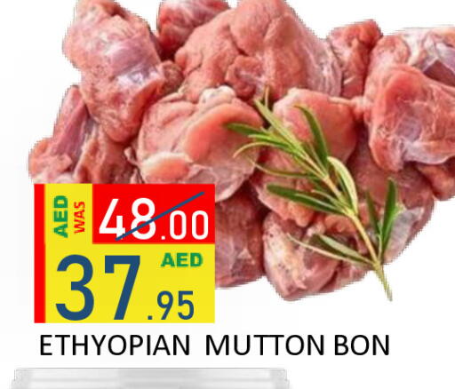 available at رويال جلف هايبرماركت in الإمارات العربية المتحدة , الامارات - أبو ظبي