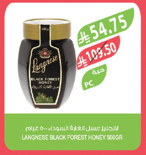 available at المزرعة in مملكة العربية السعودية, السعودية, سعودية - تبوك