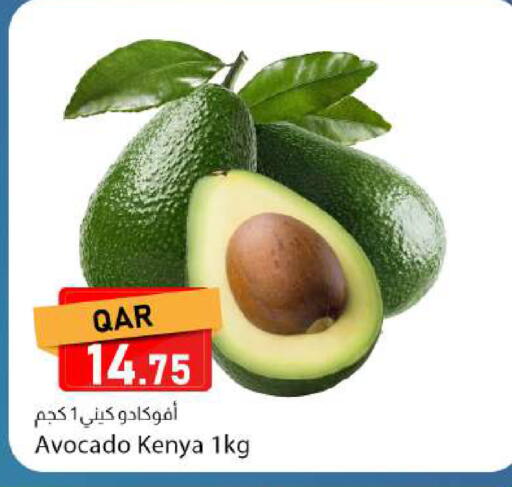 Avocado from Kenya available at دانا ماركت in قطر - الوكرة