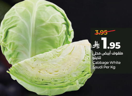 Cabbage from Saudi Arabia available at لولو هايبرماركت in مملكة العربية السعودية, السعودية, سعودية - الطائف