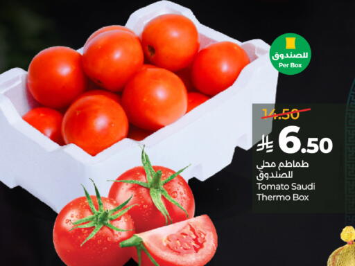 Tomato from Saudi Arabia available at لولو هايبرماركت in مملكة العربية السعودية, السعودية, سعودية - جدة