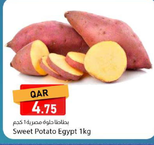 Sweet Potato from Egypt available at دانا ماركت in قطر - الوكرة