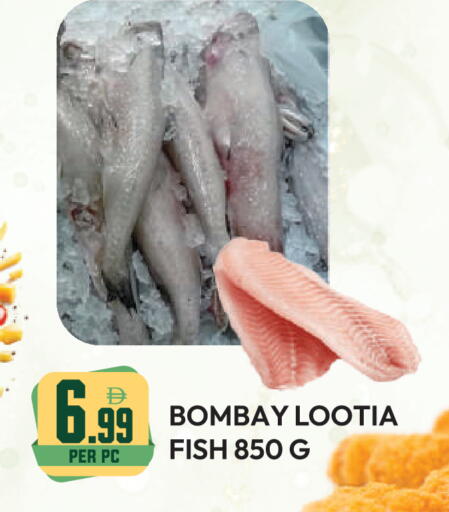 available at دريم لاند in الإمارات العربية المتحدة , الامارات - دبي