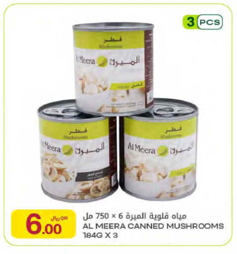 Mushroom available at Al Meera in Qatar - Al Rayyan