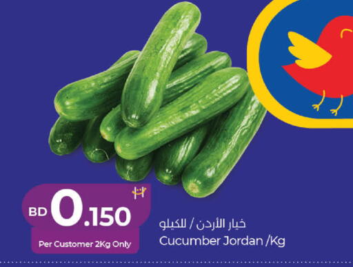 Cucumber from Jordan available at لولو هايبر ماركت in البحرين