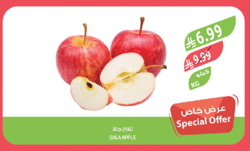 Apple available at Farm  in KSA, Saudi Arabia, Saudi - Al Khobar