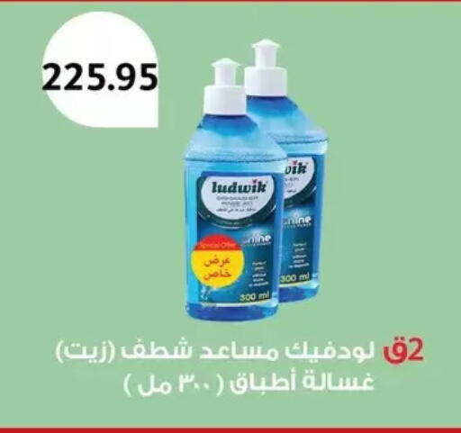 available at Othaim Market   in Egypt - Cairo