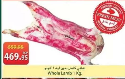 available at سبينس in Egypt - القاهرة