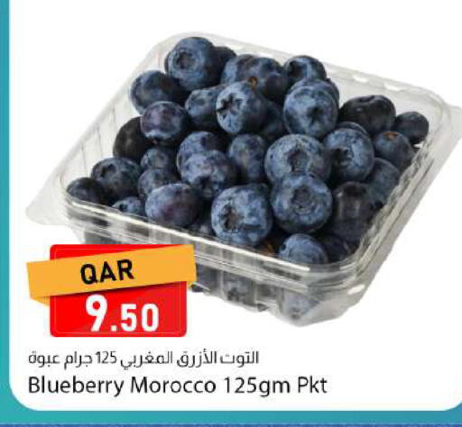 Blueberry BlueBerry from Morocco available at دانا ماركت in قطر - الوكرة
