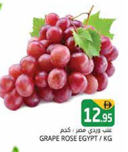from Egypt available at Pasons Hypermarket in UAE - Dubai