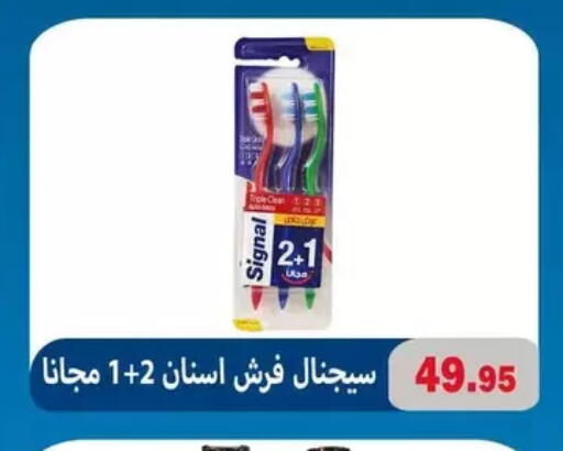 available at El Menshawy Markets in Egypt - Cairo