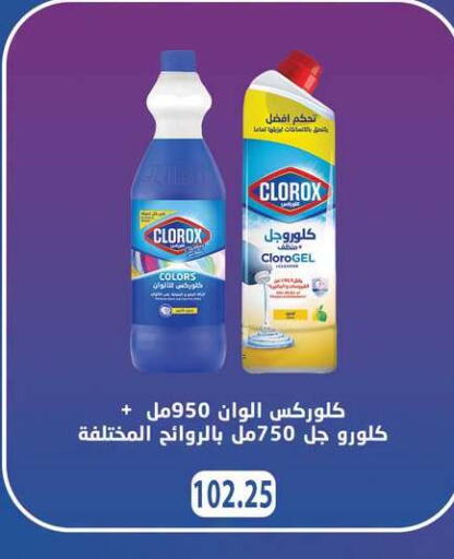available at Hyper Samy Salama Sons in Egypt - Cairo