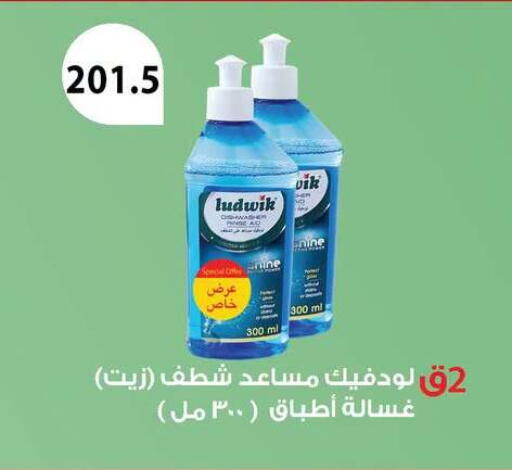 available at Hyper Samy Salama Sons in Egypt - Cairo