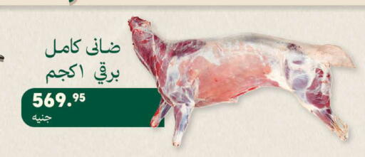available at سعودي سوبرماركت in Egypt - القاهرة